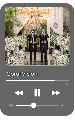 vision